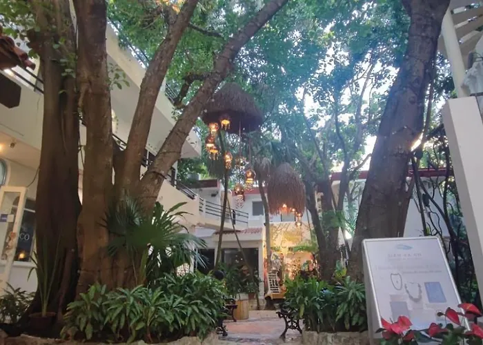 Hotel Ha Garden Gallery - 5th Avenue Playa del Carmen